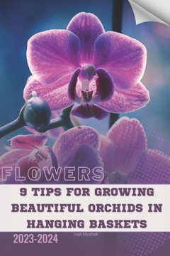 9 Tips For Growing Beautiful Orchids in Hanging Baskets: Become flowers expert