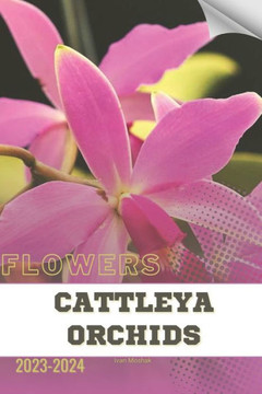 Cattleya Orchids: Become flowers expert