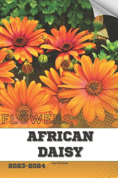 African Daisy: Become flowers expert