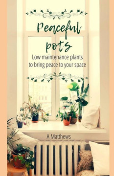 Peaceful Pots: Low Maintenance Plants to Bring Peace to Your Space