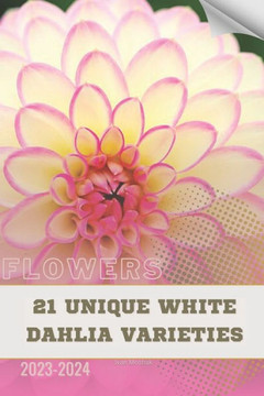 21 Unique White Dahlia Varieties: Become flowers expert