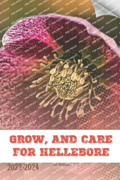 Grow, and Care For Hellebore: Become flowers expert
