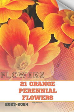 21 Orange Perennial Flowers: Become flowers expert