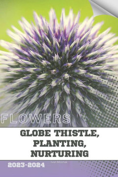 Globe Thistle, Planting, Nurturing: Become flowers expert