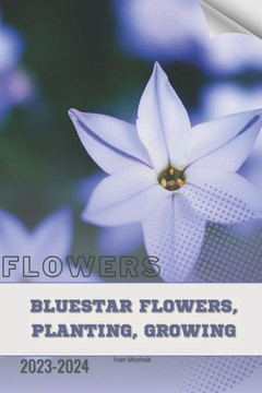 Bluestar Flowers, Planting, Growing: Become flowers expert