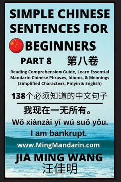 Simple Chinese Sentences for Beginners (Part 8) - Idioms and Phrases for Beginners (HSK All Levels) - Large Print