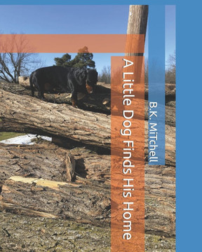 A Little Dog Finds His Home