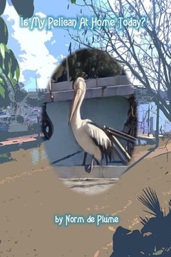Is My Pelican At Home Today ?