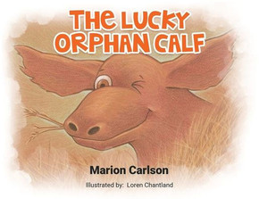 The Lucky Orphan Calf