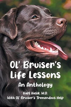 Ol' Bruiser's Life Lessons: An Anthology