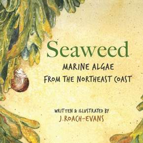 Seaweed: Marine Algae From The Northeast Coast