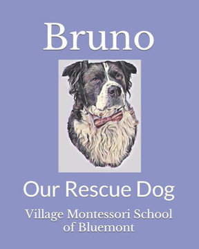 Bruno: Our Rescue Dog