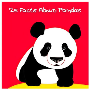 25 Facts About Pandas: Explore the World of Adorable Giant Pandas!
