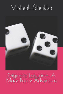 Enigmatic Labyrinth: A Maze Puzzle Adventure