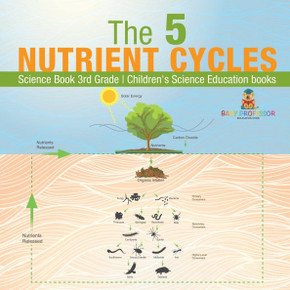 The 5 Nutrient Cycles - Science Book 3rd Grade Children's Science Education books