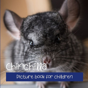 Chinchilla: Picture book for children