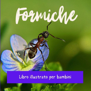 Formiche: Libro illustrato per bambini