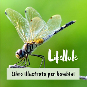 Libellule: Libro illustrato per bambini Libellule: Libro illustrato per bambini