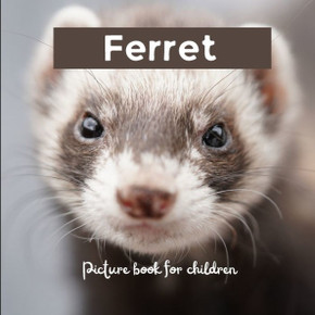 Ferret: Picture book for children