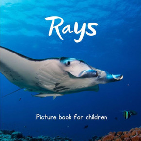 Rays: Picture book for children