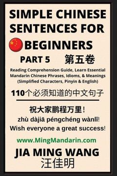 Simple Chinese Sentences for Beginners (Part 5) - Idioms and Phrases for Beginners (HSK All Levels) - Large Print