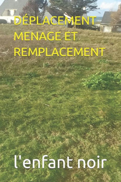 D?lacement Menage Et Remplacement D?lacement Menage Et Remplacement