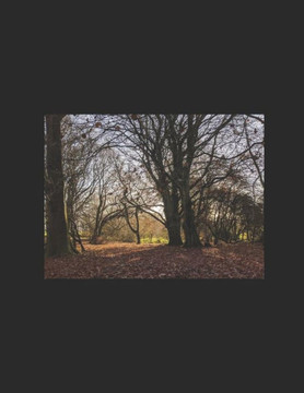 in search of shade: lyrics and poems: 1991-2000