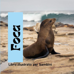 Foca: Libro illustrato per bambini