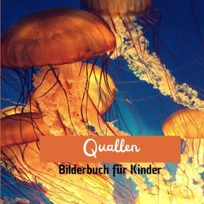 Quallen: Bilderbuch f? Kinder