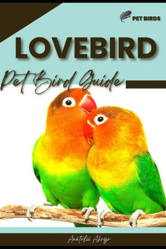 Lovebird: Pet bird guide