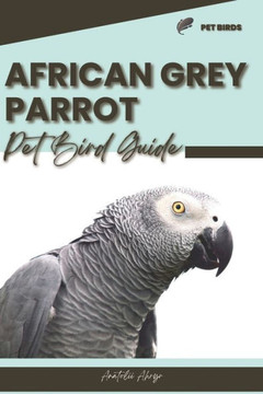 African Grey Parrot: Pet bird guide