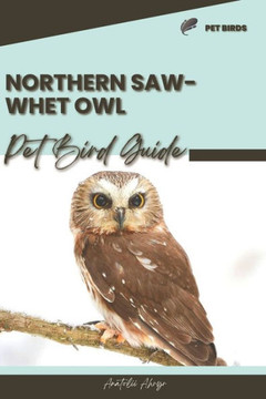 Northern Saw-whet Owl: Pet bird guide