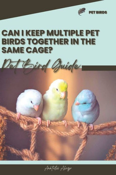 Can I keep multiple pet birds together in the same cage?: Pet bird guide