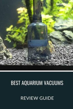 Best Aquarium Vacuums: Our Top 5 Picks for a Cleaner Tank