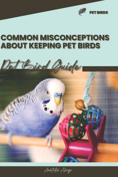 Common misconceptions about keeping pet birds: Pet bird guide