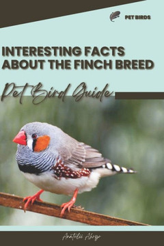 Interesting facts about the Finch breed: Pet bird guide