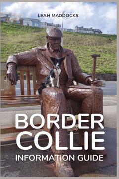 Border Collie Information Guide