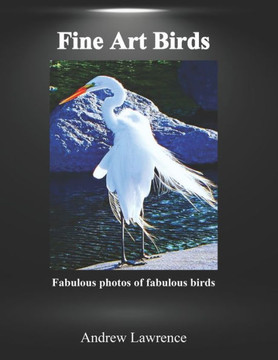 Fine Art Birds: Fabulous photos of fabulous birds
