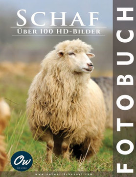 Schaf: Fotobuch