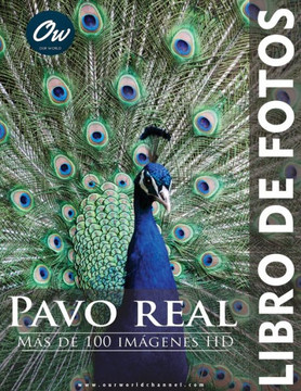 Pavo real: Libro de fotos
