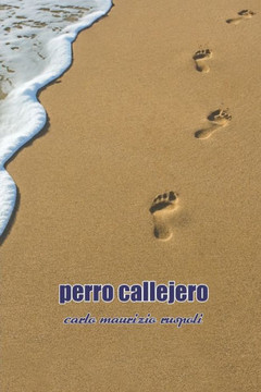 Perro Callejero: cane randagio