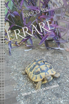 Errare