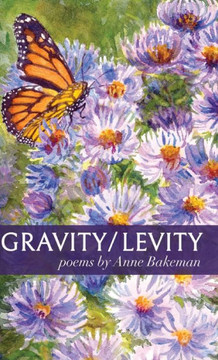 Gravity/Levity