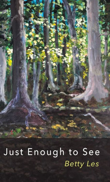 Just Enough to See Just Enough to See