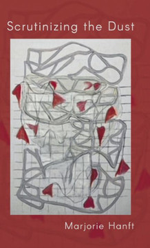 Scrutinizing the Dust