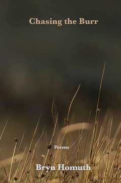 Chasing the Burr: Poems