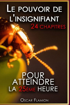 Le pouvoir de l'insignifiant: 24 chapitres - Pour atteindre la 25?e heure
