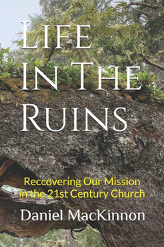 Life In The Ruins: An Urban Missiology for the 21st Century Church