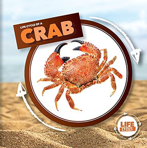 Life Cycle Of A Crab (Life Cycles)
