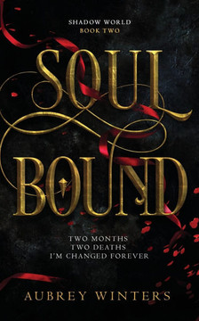 Soul Bound: The Shadow World Book 2